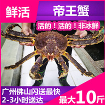(Alaska long-footed crab monarch crab) 4 catties 56 catty 810 catty of fresh seafood Seafood Great Crab Emperor Crab