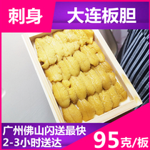 (Delicious Dalian purple gall bladder)Advance order sashimi Sea urchin Purple gall bladder Horse dung gall bladder Japanese ingredients Fried rice seafood