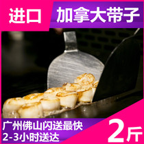 Canada imported shellfish scallop 20 30 Good sashimi materials Japanese cuisine fresh shellfish seafood