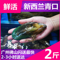 Live New Zealand imports Qingkou bay 12% Loss Rate Airlift Mussels Seairidescent Whole Shell Qingkou Aquatic Products Seafood