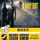 ПК искренний пара выход на выход из рождения брата: легенда Близнецов Ачай цифровой