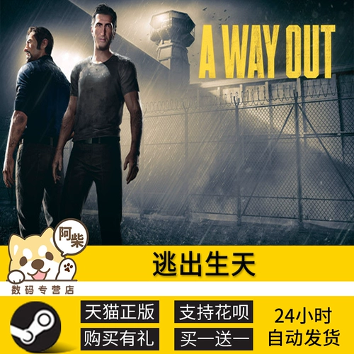 ПК искренний пара выход на выход из рождения брата: легенда Близнецов Ачай цифровой