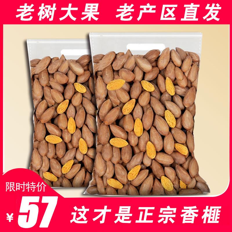 Extra large granule fragrant nut new goods 2021 Zhuji Fengqiao specialty fragrant nut bag containing 500g fragrant fir nut bulk