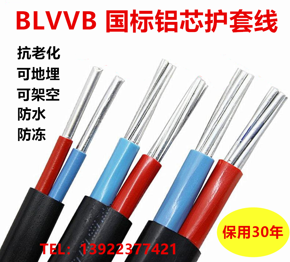 GB 2 core 2.5 4 6 10 16 25 square user outer aluminum sheath overhead line buried cable aluminum wire