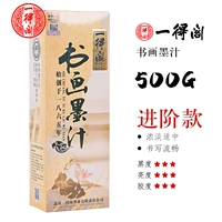 Живопись и рисовать чернила 500G