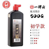 Практика, 500G