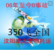 Shenyang Fushun Departure Pet Consignment Air Direct Train Car Pet Random (International Domestic)