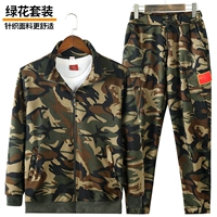 Эластичный костюм зеленого цветов (верхние + брюки)