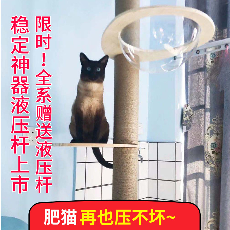 The top of the sky standing solid wood through the pillar cat climbing frame cat nest cat tree integrated does not occupy a high-rise large space capsule cat nest