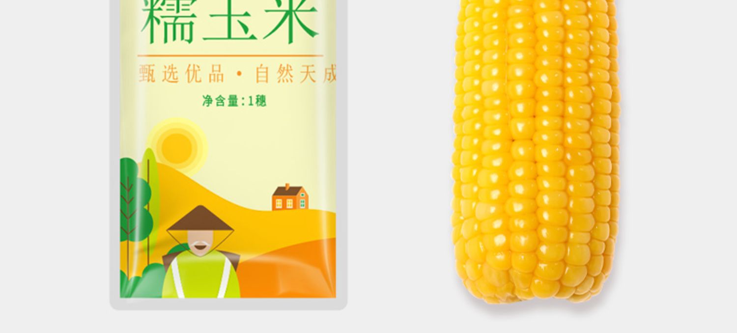 【绿户农品】东北糯玉米200g*10根