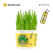 Meowcard instant noodles cat grass lazy man a cup of seeds set of hair hydroponic spit hair ball new soil snacks