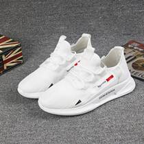 Small wardrobe shoes shop new breathable white shoes mens casual shoes trendy shoes Sneakers mens Dad shoes