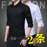 Демисезонный лонгслив, черная универсальная рубашка