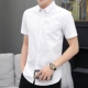 Белый, короткий рукав