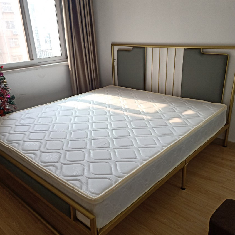 Bedroom 1 8 soft and hard dual-purpose palm mat 1 5 m economical 22cm thick rental apartment spring latex mattress