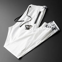 European and American nd ice silk casual pants mens 2022 su