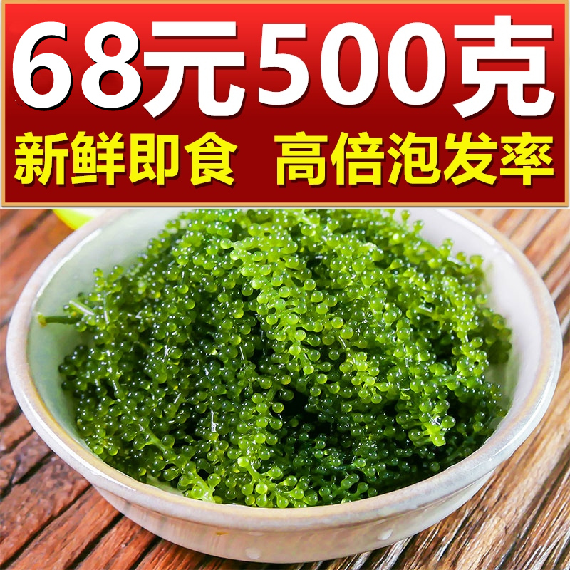 Net Red Ready-to-eat Sea Grape 100g * 5 Bags A Total Of 500g Fresh Seagrass Seaweed Vegetable Cold Mixed Sea Vegetable Green Caviar Sauce