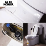 Туалетный туалетный туалетный туалет Kohler