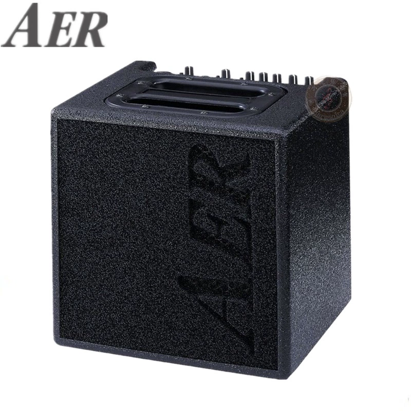 Loa guitar acoustic AER Alpha Alpha Plus nhập khẩu hiệu suất chuyên nghiệp 40 âm thanh gạch 50W - Loa loa