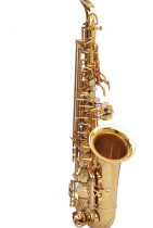American SG (SEHGAL)AS-200 series alto saxophone E