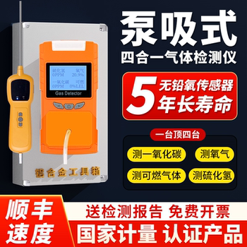Pump-Type Four-In-One Gas Detector, Multi-Functional Portable Detector for Toxic and Harmful Gases in Limited Spaces