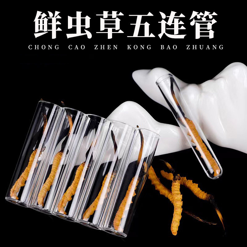 新鲜虫草五连管高端真空管子亚克力管冬虫夏草专用联管带孔可真空