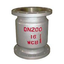 WCB carbon steel vertical check valve H42H-16C check valve carbon steel check valve to prevent medium backflow DN50 80