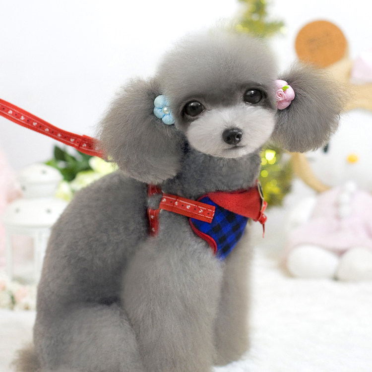 Dogs summer clothes small dogs teddy Beaumey Bears Koki walk dogs rope Mickey Mouse small dog chest braces-Taobao