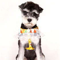 Juvenile Puppy vest clothes with traction rope Han version Cute Lace Lace Orange Mini Pet Chest Braces