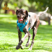 Anti-bite small and medium-sized dog walking dog Dog Vest Style Bulldog Teddy Kirky Pets Traction Rope Dog Chest Braces