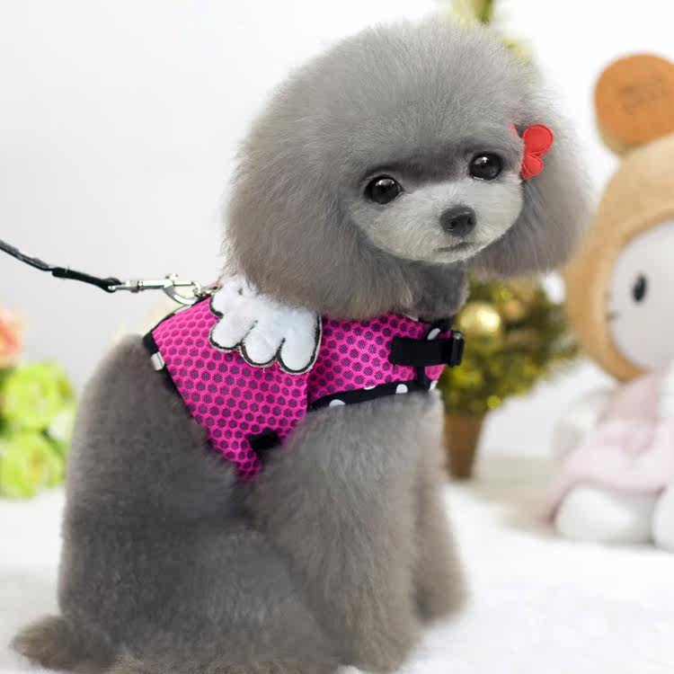 Teddy clothes summer with traction rope cat clothes male cat female cat hollow mesh angel wings chest holding baby bag