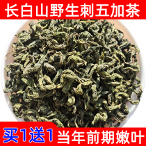 Acanthopanax tea sleep special grade Changbai Mountain Northeast first crop fresh young leaves new leaves tea seeds fruit Acanthopanax tea leaves