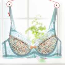 Lan Zhuoli big chest MM large size underwear womens ultra-thin mesh sexy gathering bra close breast anti-sagging