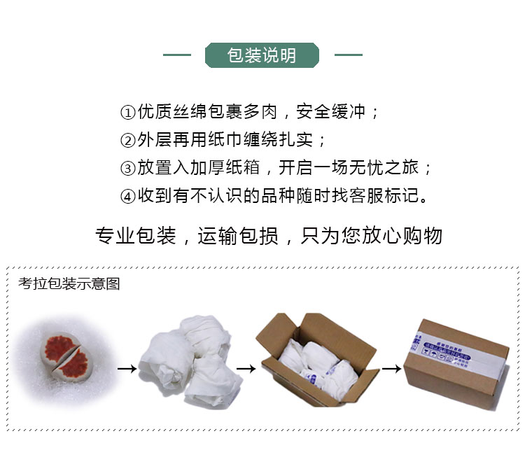 Phân bón đặc biệt nhiều thịt, phân xanh, phân bón nhả chậm, phân bón dạng hạt, phân bón hoa đá, vật tư làm vườn, phân xanh vòi phun tưới cây