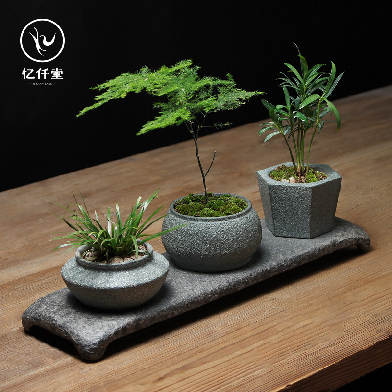 Yi Qian Tang Succulent Creative Flower Pot Wen Bamboo Money S Zen Stone Scene Set Combination with Tray