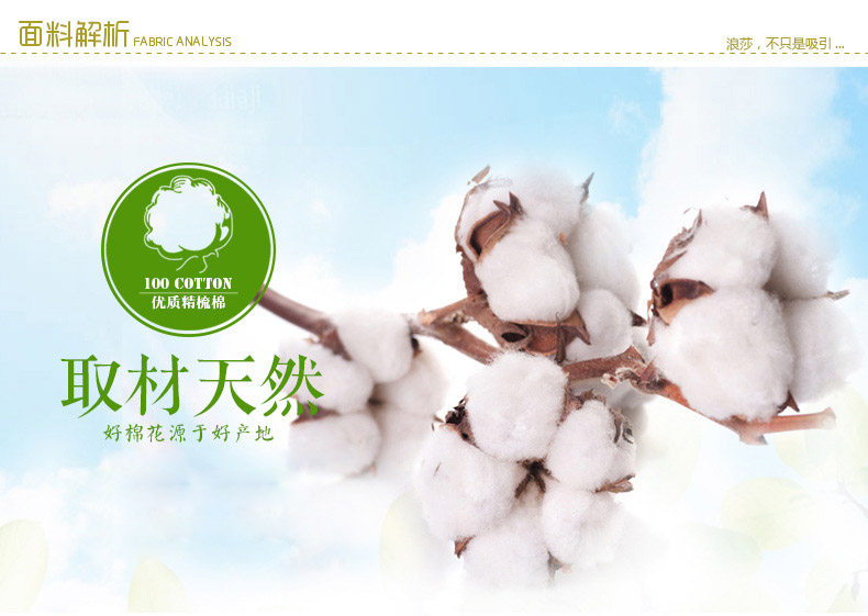 Slip jeunesse ADES12915 en coton - Ref 666009 Image 7