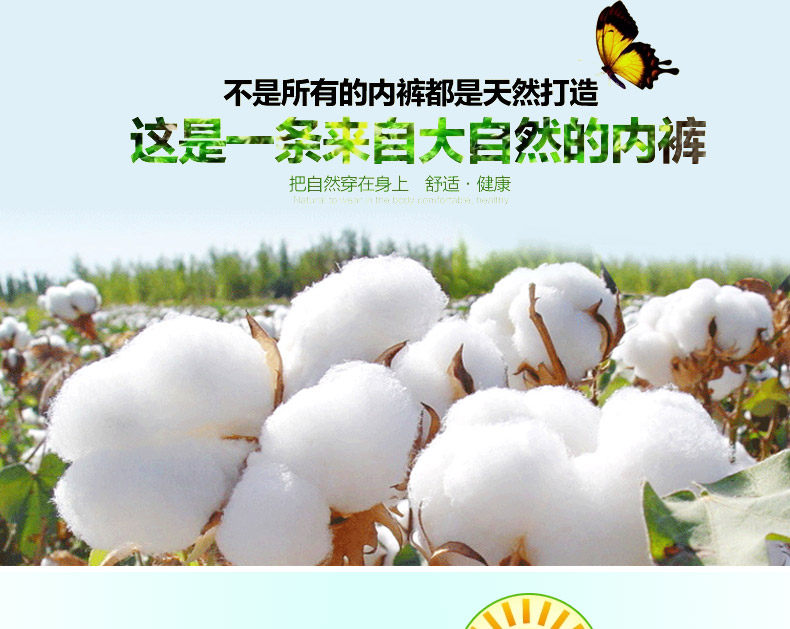 Slip jeunesse ADLSZL012 en coton - Ref 665989 Image 8