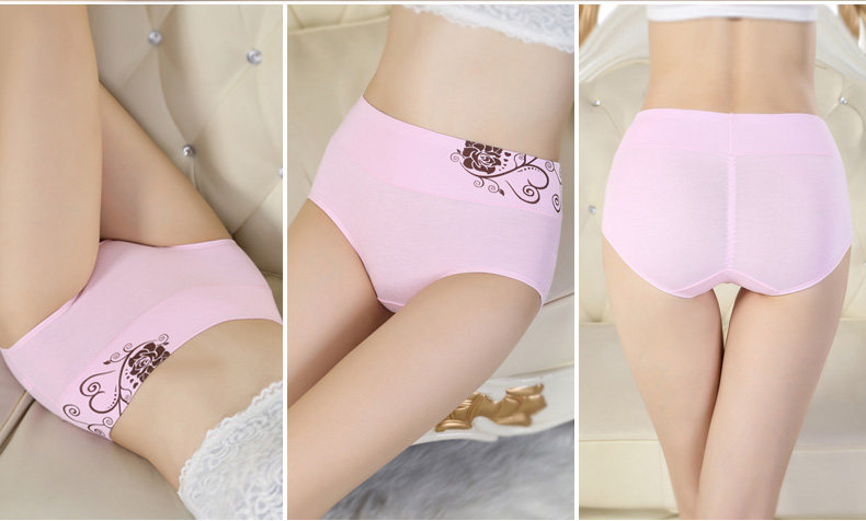 Slip jeunesse ADES12915 en coton - Ref 666009 Image 21