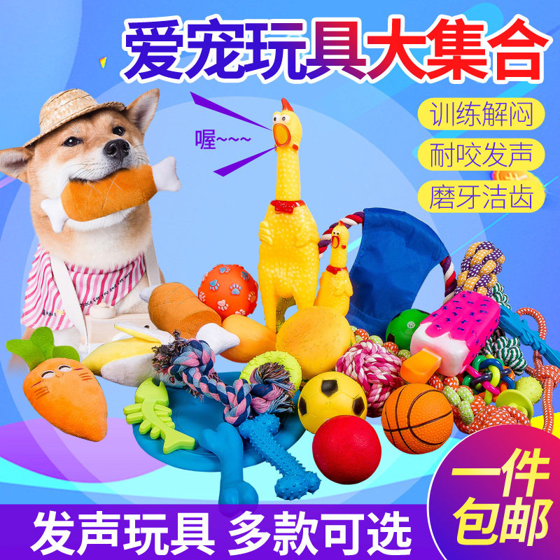Dog toy bite-resistant Teddy golden retriever bichon big and small dog training puppies pet ball screaming screaming chicken