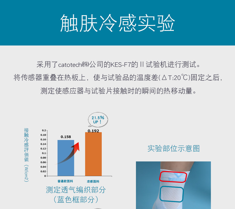 Лодыжка 790_08.jpg