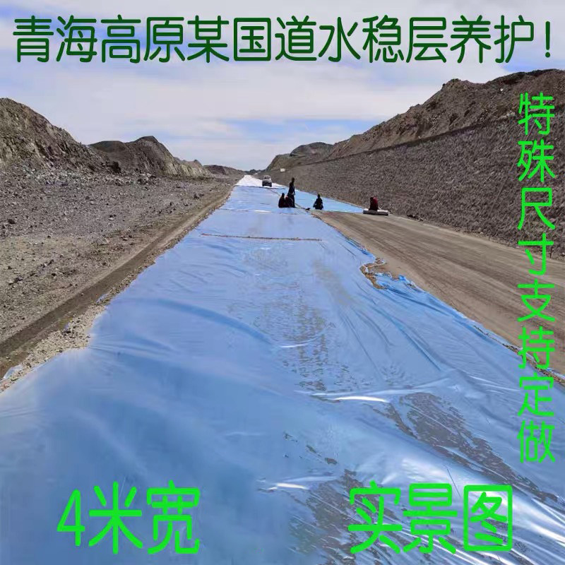 Thickened plastic cloth waterproof and rain-proof thatch cover engineering dustproof plastic cloth decoration thickened thermal insulation transparent plastic cloth