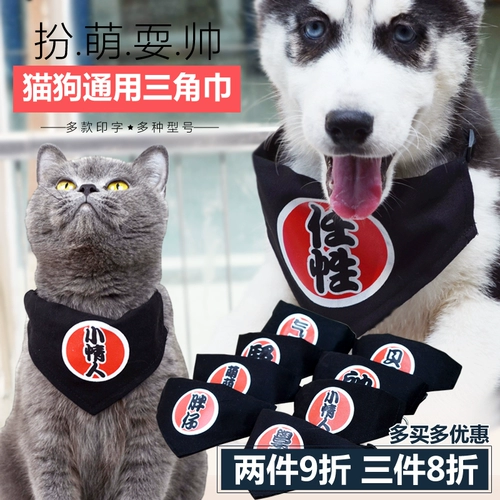 Личная сковорода красиво, одетая в милый питомец -треугольник шарф золотые волосы кошка плюшевая собака рта водяной полотенце, рот, кольцо шеи