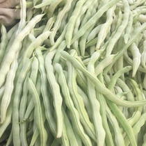 Northeast specialty produces authentic fresh oil bean horn vegetable farmer bean corner white bean pot rotten September green