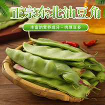 Authentic Northeast specialty fresh bit of red oil bean horn vegetable farmers planted pot rotten in September green vegetable