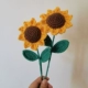 Букет подсолнечника (изумрудные зеленые листья) может зацепить 6 цветов
