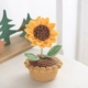 Симпатичное маленькое растение подсолнуха в горшке (материалы включают руководство по работе с инструментами)