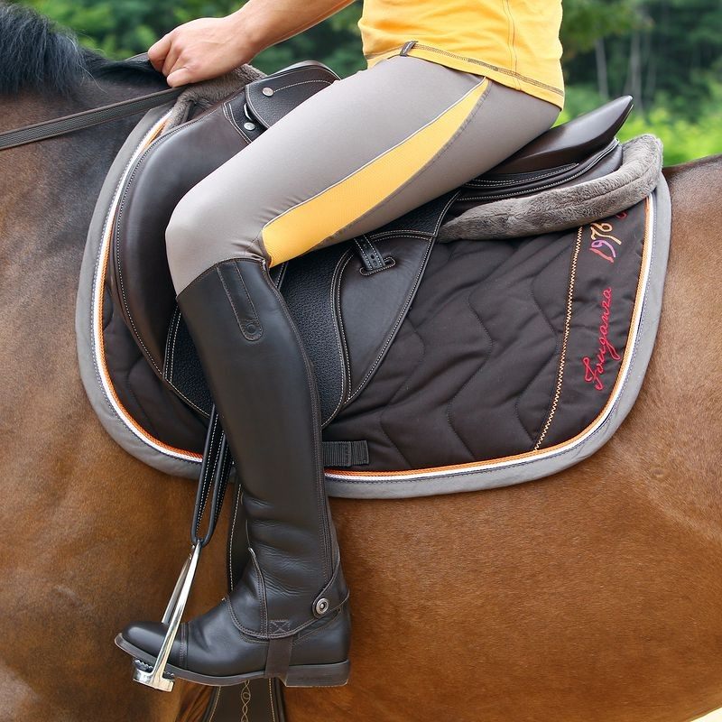 Товары для конного спорта. Декатлон конный спорт. Декатлон верховая езда. FOUGANZA конный спорт. Бриджи Dressage 100 FOUGANZA женские.