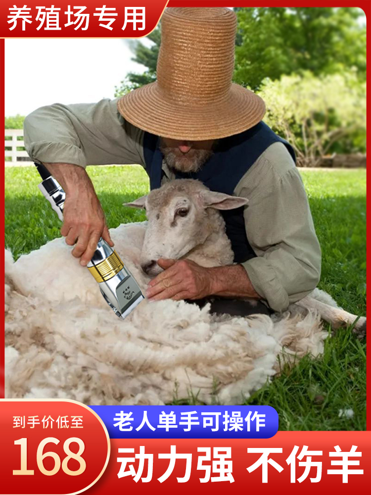 <!--利特锐专业羊毛电推剪剃羊毛电动推子绵羊山羊宠物狗专用剃毛器-->