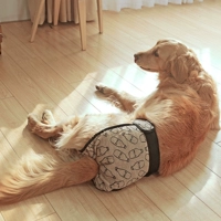 Pet Dog Pet Dog Физиологические штаны Менструальные брюки Золотые волосы, средняя большая защита собак с сосунными штанами, тети брюки безопасность