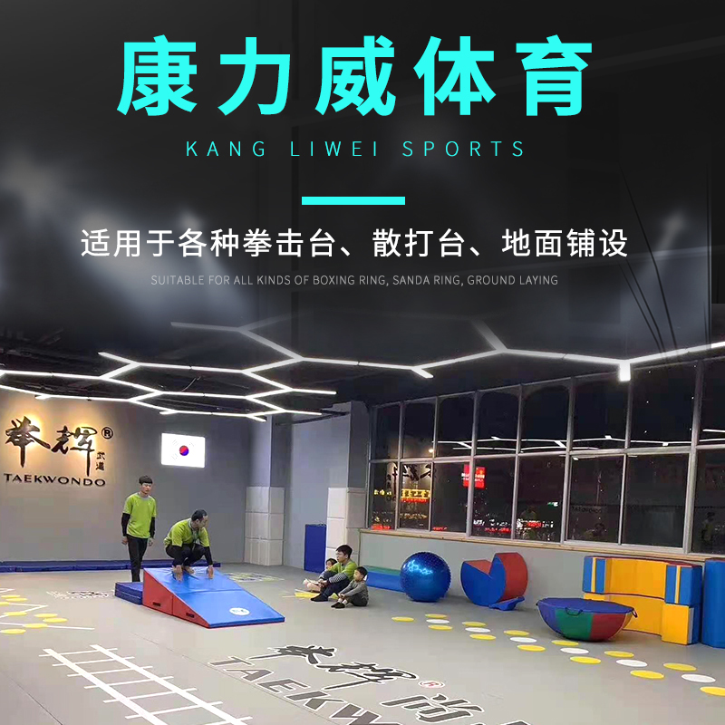Taekwondo Sanda fighting roll mat martial arts fighting judo professional field mat dance wrestling sports fitness mat